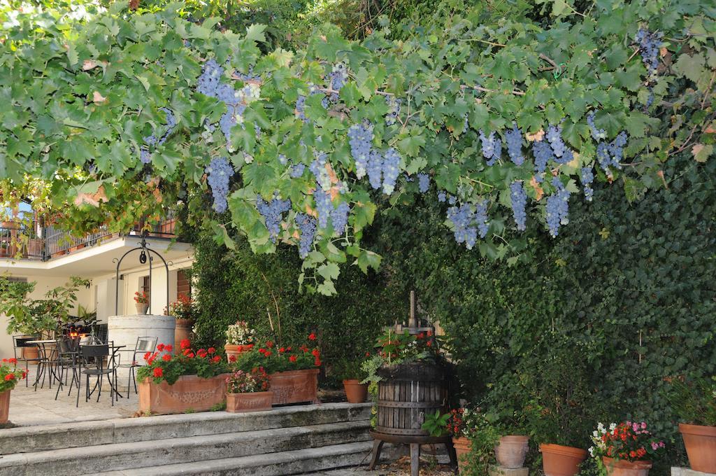 Casa Lemmi Pensionat San Quirico d'Orcia Eksteriør billede